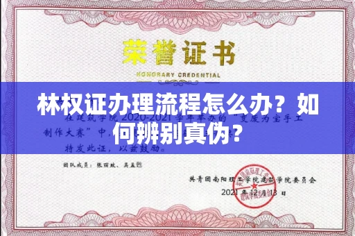 全国林权证办理流程怎么办?如何辨别真伪?