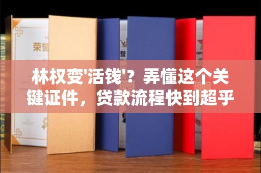 全国林权变'活钱'?弄懂这个关键证件,贷款流程快到超乎想象!